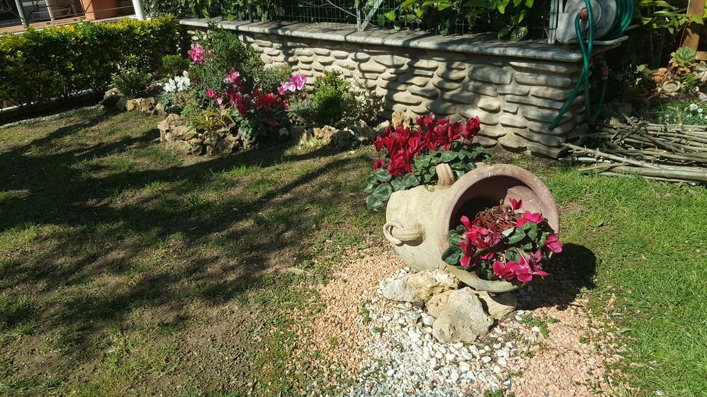 Aurelia Garden Gold B&B Róma Kültér fotó